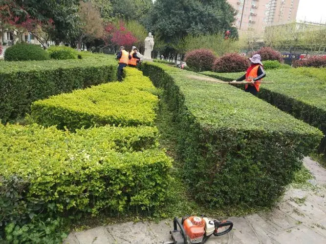 冷水江市容绿化管理局