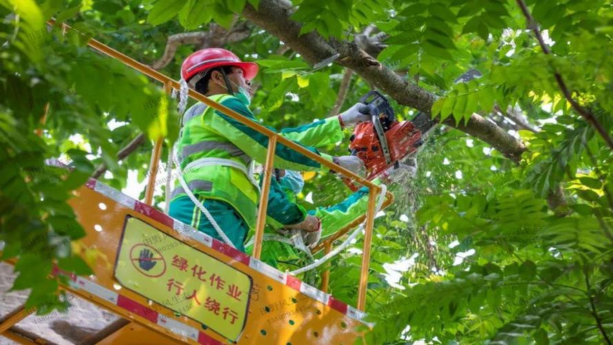 办公中庭园林景观设计
