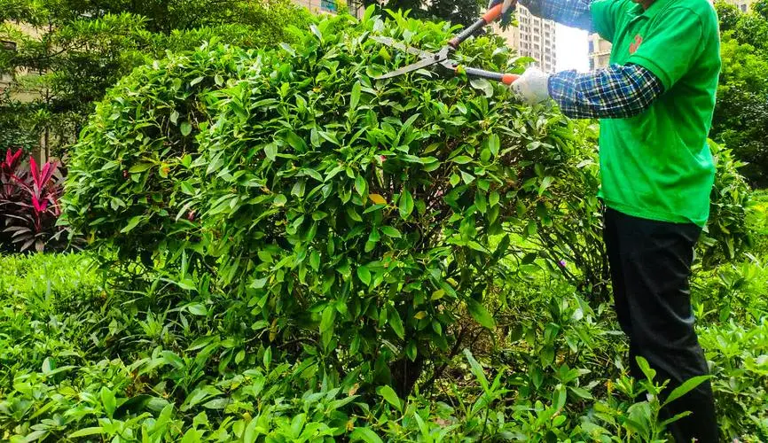 园林工程质量监测站的质量检验评定划分