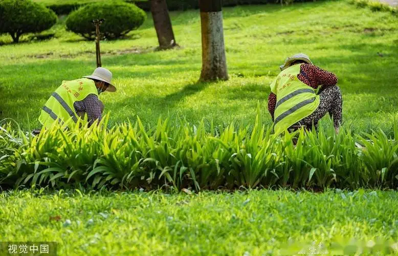 开窗见绿、出门见园 渝中打造立体山水都市